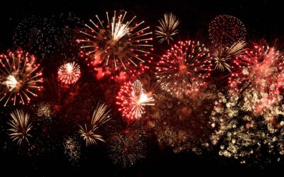Firework Champions 2022
